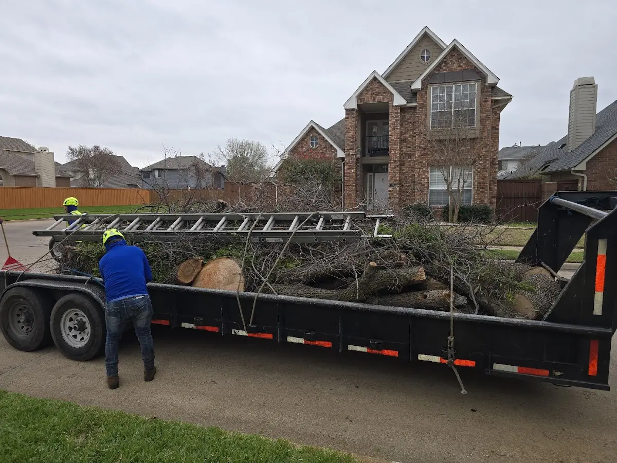 Expert Crown Reduction with proper safety equipment in Mineral Point